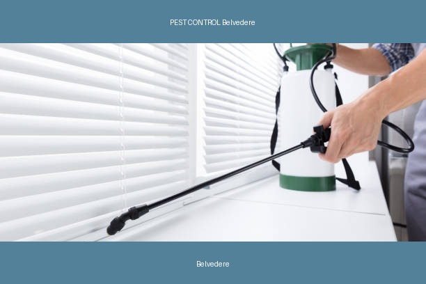 PEST CONTROL Belvedere